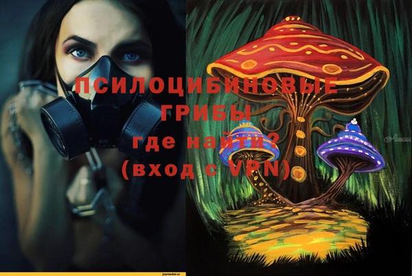 стаф Алексин