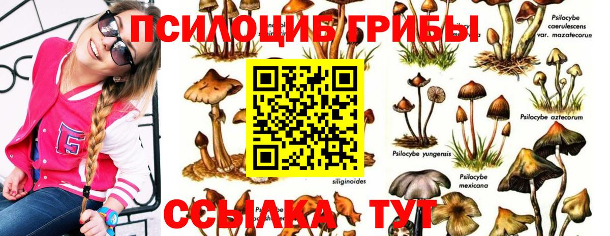 Псилоцибиновые грибы прущие грибы Ревда