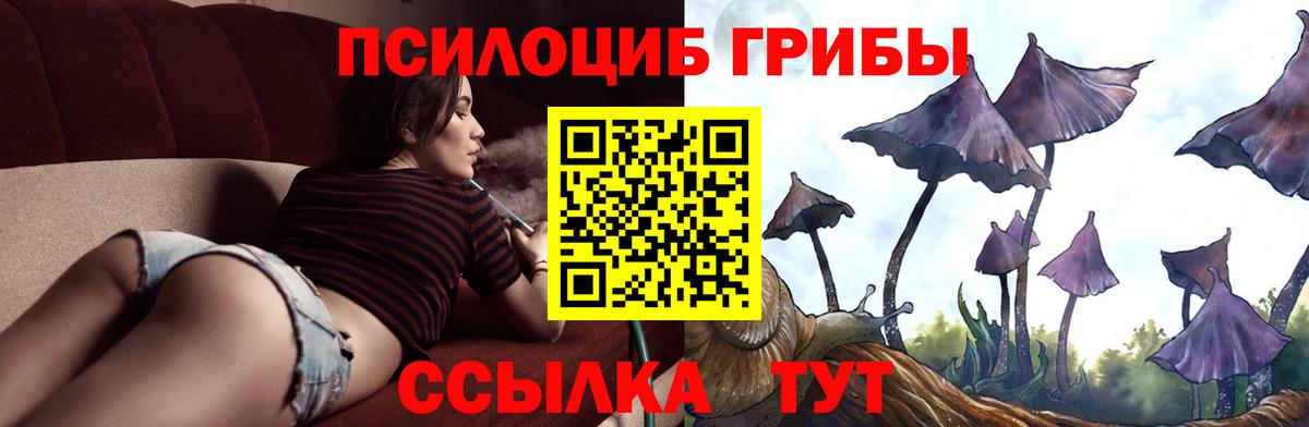 Ревда  Галлюциногенные грибы Magic Shrooms  где можно купить   Вход с VPN  Галлюциногенные грибы GOLDEN TEACHER 